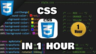 Learn CSS in 1 hour 🎨 [upl. by Minne]