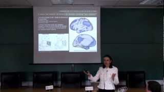 Los circuitos neurales de la consciencia Carmen Cavada Universidad de Navarra [upl. by Gwenn]