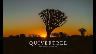 QUIVER TREE  KEETMANSHOOP  NAMIBIA [upl. by Anivlek]