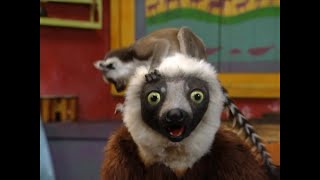 Closing to Zoboomafoo Creature Neighbors 2012 Sprout Broadcast Recreation [upl. by Ahsoet]