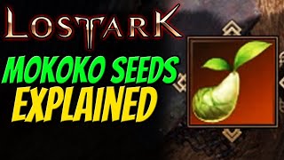 MOKOKO SEEDS EXPLAINED in Lost Ark  All Rewards amp Why to collect [upl. by Eidson]