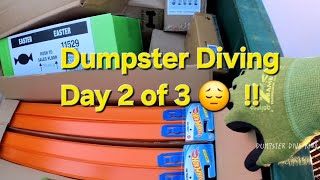 Dumpster diving Day 2 of 3 😁 Employees tossed out the whole store [upl. by Yxel]