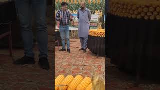 Syngenta hybrid seed 7530 field day viralvideo farmer kisan SKDjuttherep350 hybridseeds [upl. by Sergent]