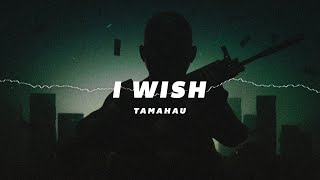 Tamahau  I Wish Infected Mushroom Cover [upl. by Landon]