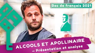 Alcools dApollinaire  présentation du recueil biographie modernité poétique  Bac français 2025 [upl. by Orpah]