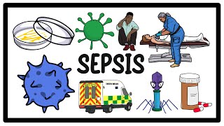 Sepsis Infection amp Septic Shock The Ultimate Guide to Symptoms and Treatment [upl. by Eelreveb]