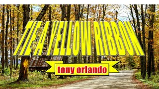 TIE A YELLOW RIBBON  karaoke version  popularized by TONY ORLANDO [upl. by Nordine968]