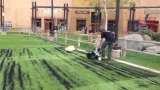 Power Brooming Synthetic Grass [upl. by Ferri]