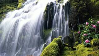 Beautifull HD Waterfall Wallpapers [upl. by Zehe]