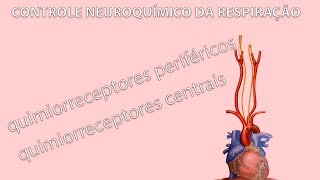 Controle Neuroquímico da Respiração  QUIMIORRECEPTORES CENTRAIS E PERIFÉRICOS [upl. by Wilkins92]