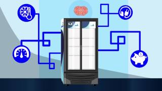 CIF Control Inteligente de Funciones de los Refrigeradores Imbera [upl. by Ahsad30]