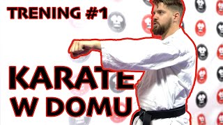 TRENUJ KARATE W DOMU  Trening początkującego 1  Technika Chokuzuki [upl. by Kelwunn790]