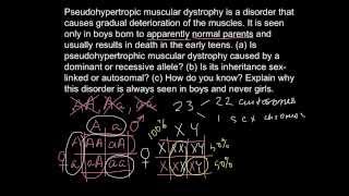 How to determine if a disease is X or Y chromosome linked [upl. by Bowrah]