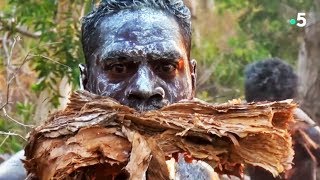 Aborigènes  la danse du crocodile fait un peu peur  ZAPPING NOMADE [upl. by Reisch614]