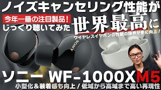 ソニー WF1000XM5 最高のワイヤレスイヤホン誕生か？！歴代機種との比較レビュー！ [upl. by Lenoel]