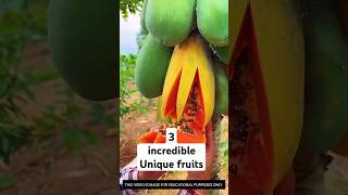 3 incredible Unique fruits facts shorts [upl. by Kung]