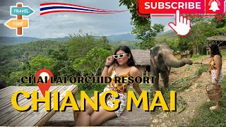 A day at an Elephant Sanctuary Chai Lai Orchid Resort Thailand Trip Vlog 2 Travel guide✈️❤️🐘 [upl. by Tim]