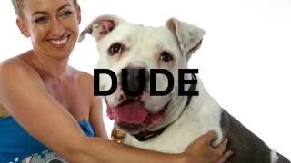 Adopt Dude at NKLA [upl. by Elleiad]