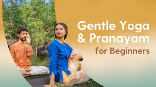 Easy Yoga Asanas amp Pranayama  30 Minutes  Hatha Asanas amp Anulom Vilom Pranayama [upl. by Parnell]