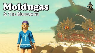 Molduga Molduking Strategies amp Farming in Zelda Breath of The Wild  BotW [upl. by Halludba373]