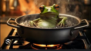 FROG in the Boiling Pot [upl. by Basso254]