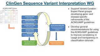 Presentation  Variant Classification using ACMGAMP Guidelines Steven Harrison [upl. by Micki]