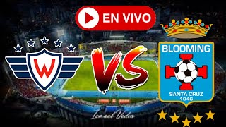 WILSTERMANN vs BLOOMING EN VIVO 🔴⚽  DIVISION PROFESIONAL [upl. by Mini]