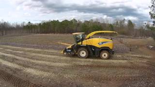 Demo of Harvest for Biofuels with Coppicing of Poplar Trees [upl. by Nabi]