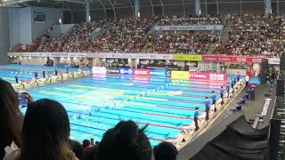 World Record Mens 200 SCM IM Leon Marchand FRA 14888 World Cup Heats Singapore 1 November 2024 [upl. by Pace118]