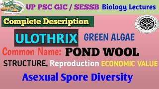 ULOTHRIX COMPLETE DESCRIPTION WITH LIFE CYCLE [upl. by Sowell]