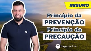 Princípio da Prevenção e Princípio da Precaução  Direito Ambiental RESUMO [upl. by Storfer]