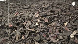 240504 Concentratiekamp Auschwitz [upl. by Leese]