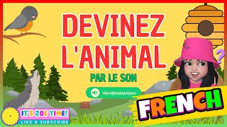 DEVINEZ LE SON DE LANIMAL  Facile Moyen Difficile 🔊🙊 Les Animaux Pour Les Enfants Learn French [upl. by Varion40]