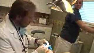 Root Canal Retreatment Demonstration [upl. by Myra]