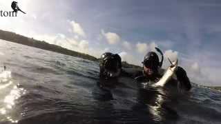 Gopro Spearfishing Helford Cornwall 2014 Bass fishing  River mouth Seafishing [upl. by Maddocks]