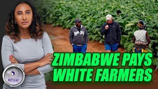 Zimbabwe To Begin Compensating White Farmers Whose Land Was Taken During The Land Invasion [upl. by Ellswerth13]