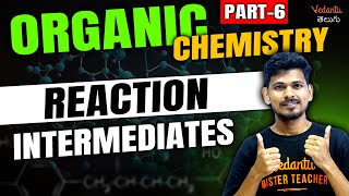 Reaction Intermediates  Organic Chemistry Class 11  Part 6  JEE 2024  EAMCET 2024 [upl. by Allyn]