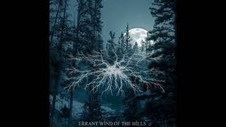 Field dweller  errant Wind of the hills 2024 Album [upl. by Beore]