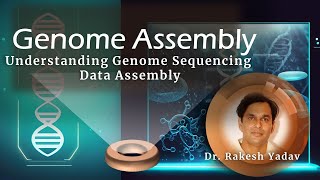 What is Genome Assembly [upl. by Eitsud]