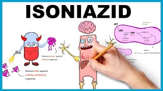 Isoniazid Mechanism of Action Uses Dose side effects [upl. by Attelrahs376]