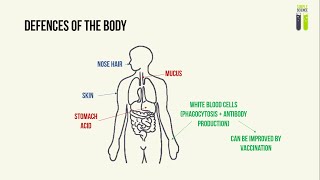 IGCSE Biology Revision  Part 12  Pathogens Transmissible Diseases amp Preventing Its Spread [upl. by Howarth]