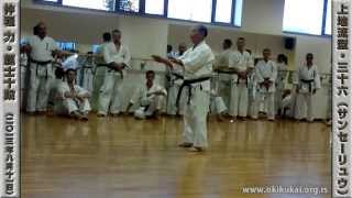 沖縄空手道 KATA SANSEIRYU by NAKAHODO TSUTOMU 2013 [upl. by Huppert]