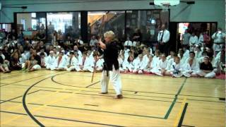 Sensei Devorah Dometrich  Bo Kata Demo  Tsuruoka Nationals Torontowmv [upl. by Euginimod]