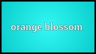 Orange blossom Meaning [upl. by Herbst642]