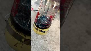 Homemade ant trap bugs pestcontrol hummingbirdfeeder sugarwater [upl. by Lynden]