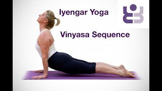 Intermediate Iyengar Yoga  Vinyasa Sequence [upl. by Pallaton]