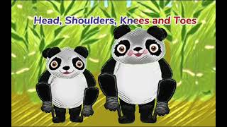 Head Shoulders Knees and Toes  CoConut Nursery Rhymes amp Kids Song [upl. by Nrehtac]