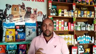 Deworming  Wormor  Sign  Tips in Dogs  Puppy  Bhola Shola  Harwinder Singh Grewal [upl. by Cohdwell516]