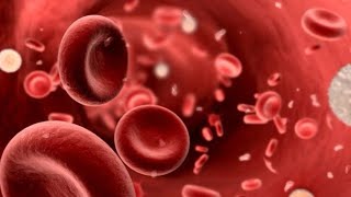 Plasma protein physiology Function of plasma proteins separation method of plasma proteins [upl. by Pompei]