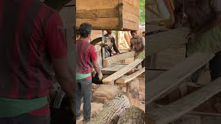 Discover Precision Cutting and Wood Processing Mastery with Expert Sawmill Operators [upl. by Lilaj]